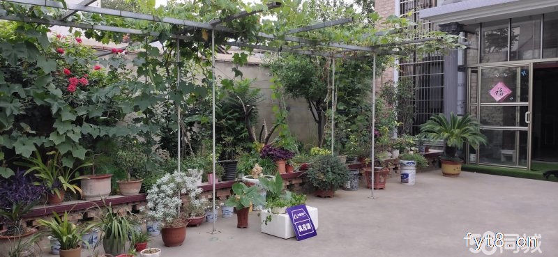 房屋朝南,精装修,采光极好,院内空气清新,院内可以种菜。